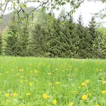 Chez Pierre * Lunz am See