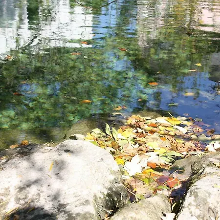 Chez Pierre Lunz am See