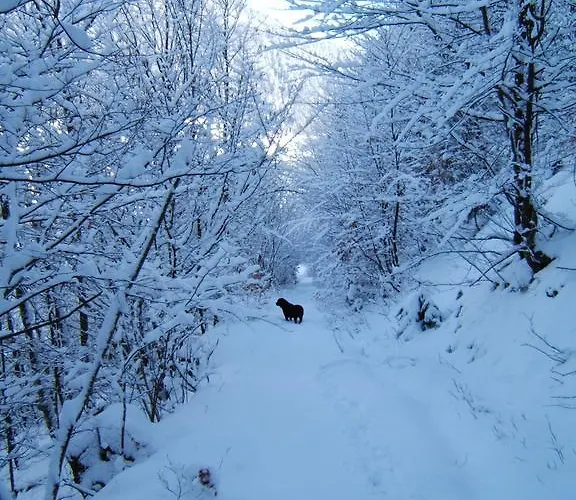 Chez Pierre لونز أم سي