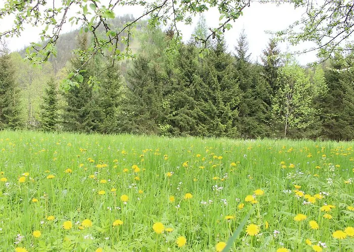 Chez Pierre * Лунц-ам-Зе