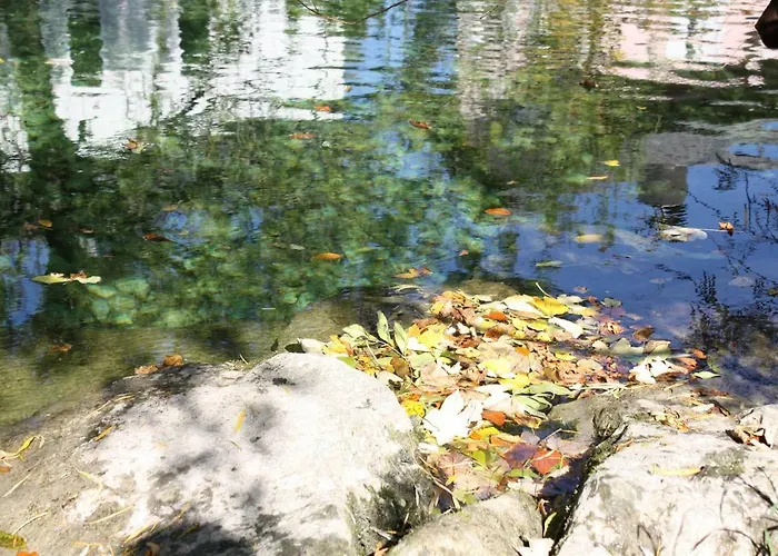 Chez Pierre لونز أم سي